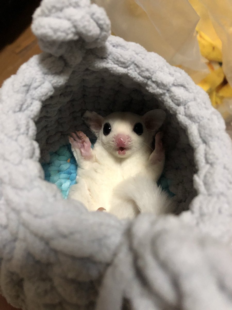 #これが０歳時代だ参ったか