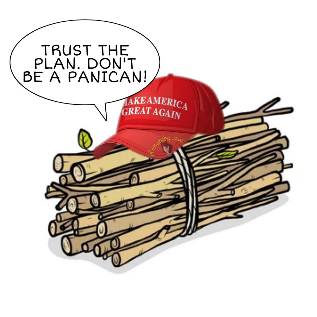 Mongooose Fella 🇪🇺 tweet media