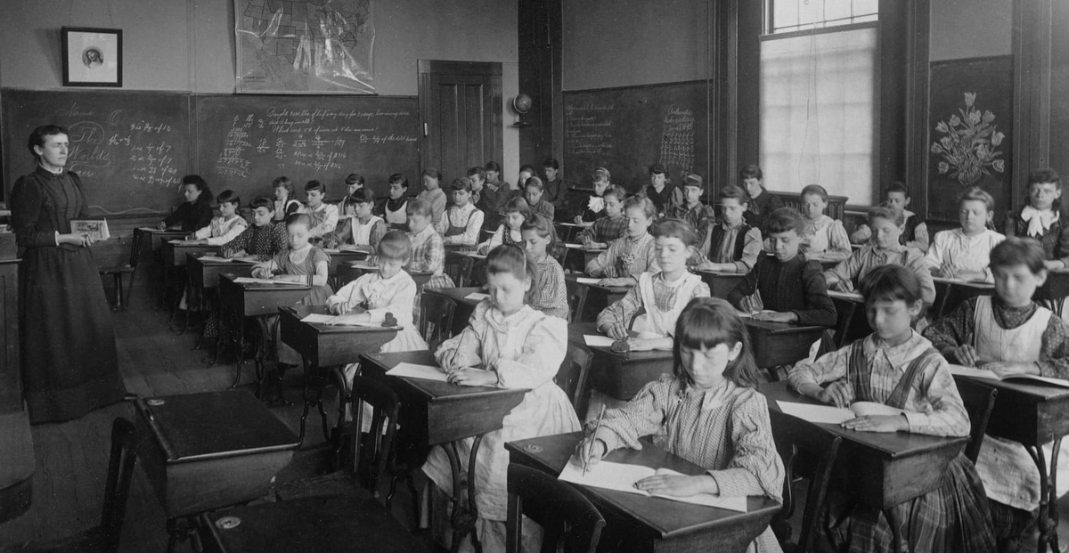 Mackenzie Morehead tweet media