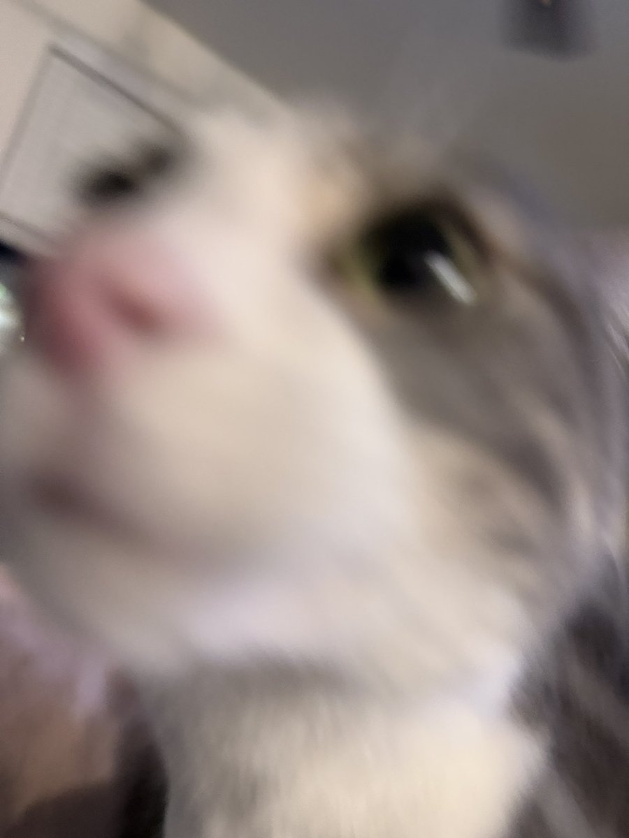 keel🌦 tweet media