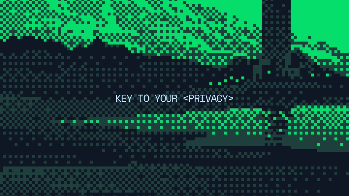 SANROKstudio's tweet photo. xeovo ⇨ ui/ux + visual refresh 
pixel / matrix / ascii
for a cypherpunk-driven vpn. https://t.co/cJ0S84P4n2