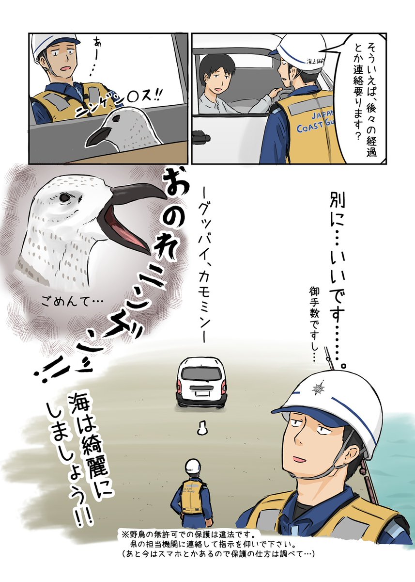 かもめを拾った話(2/2) 