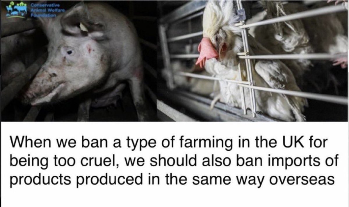 Conservative Animal Welfare Foundation tweet media