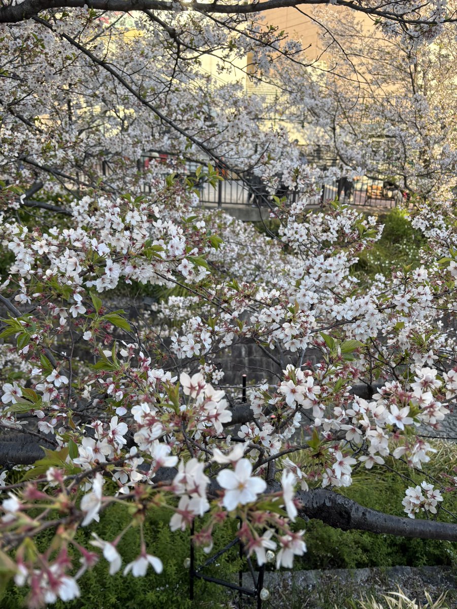 りん❣️🤗 tweet media