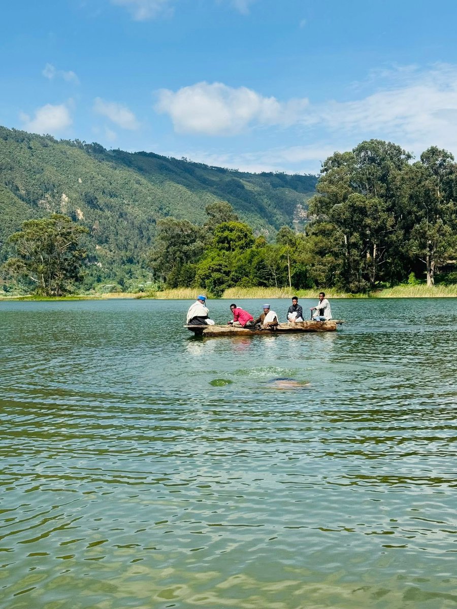 banchi Getachew tweet media