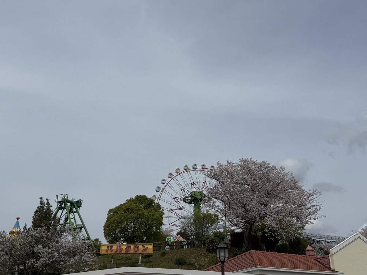 𝘤𝘩𝘪𝘪 tweet media