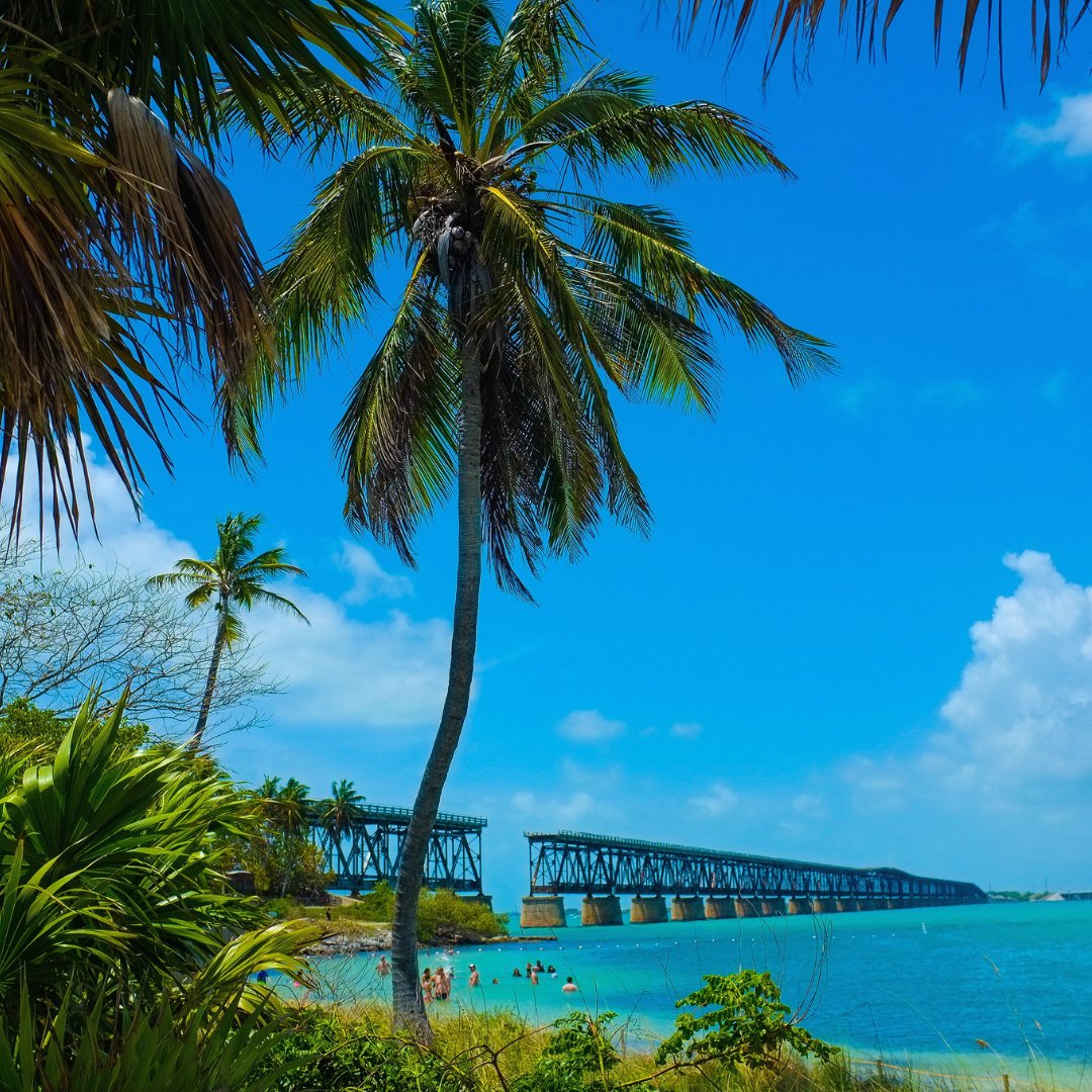 PartyInKeyWest's tweet image. Like if you've ever stopped to swim here! #keywest #bahiahonda #overseashighway

More: PartyinKeyWest.com/wp/
Follow us: @PartyInKeyWest
Hashtag us: #PartyInKeyWest