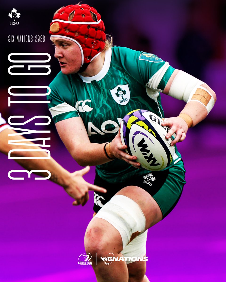 Leinster Supporters tweet media