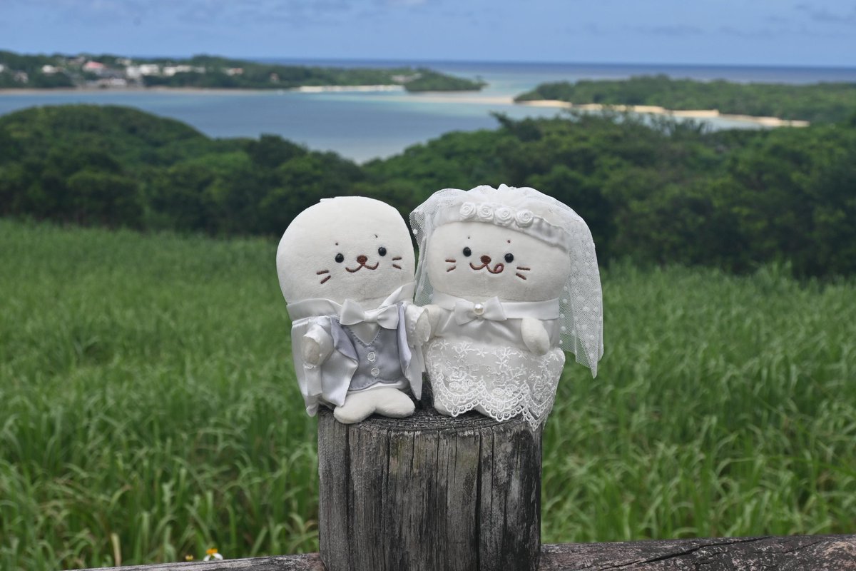 うらしー tweet media