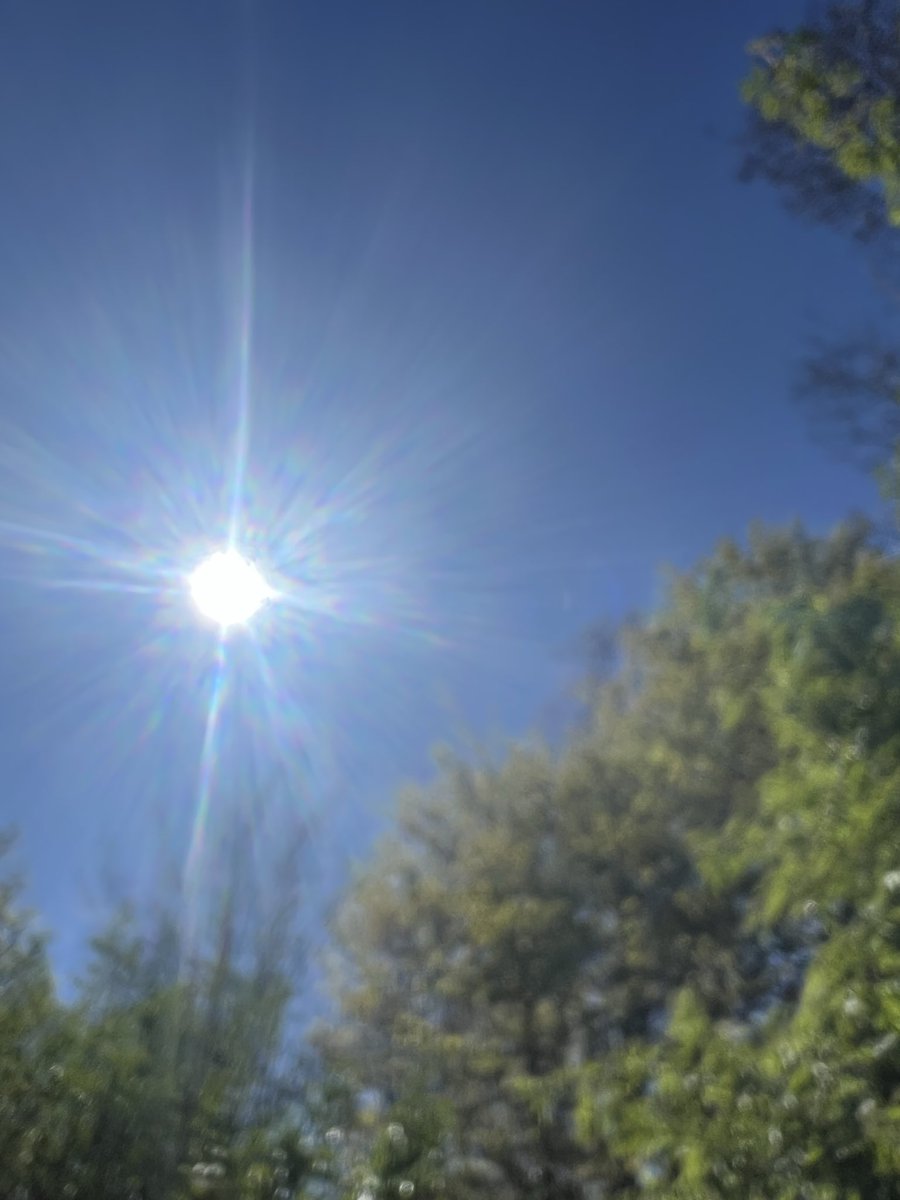 de Heyn Woeste C. tweet media