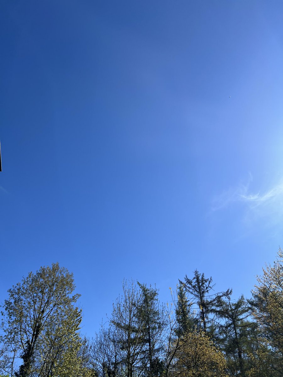 de Heyn Woeste C. tweet media