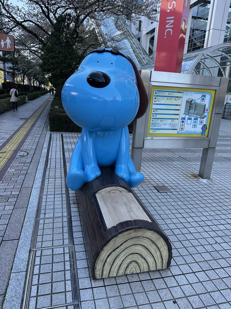 こんぺいとう tweet media