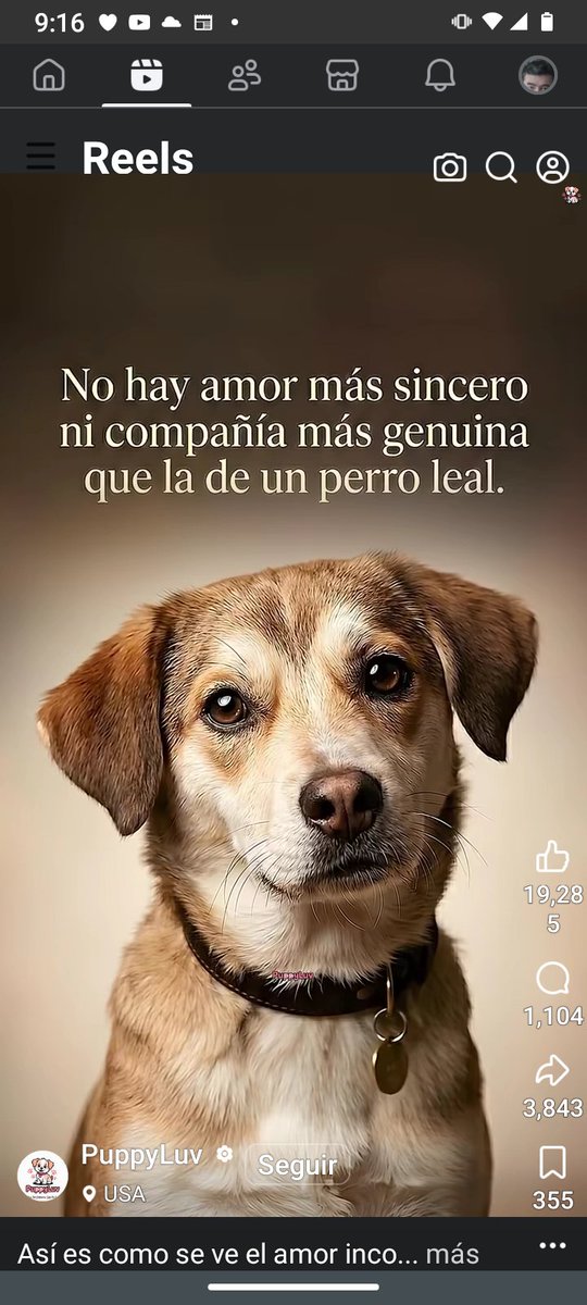 Luis granate tweet media