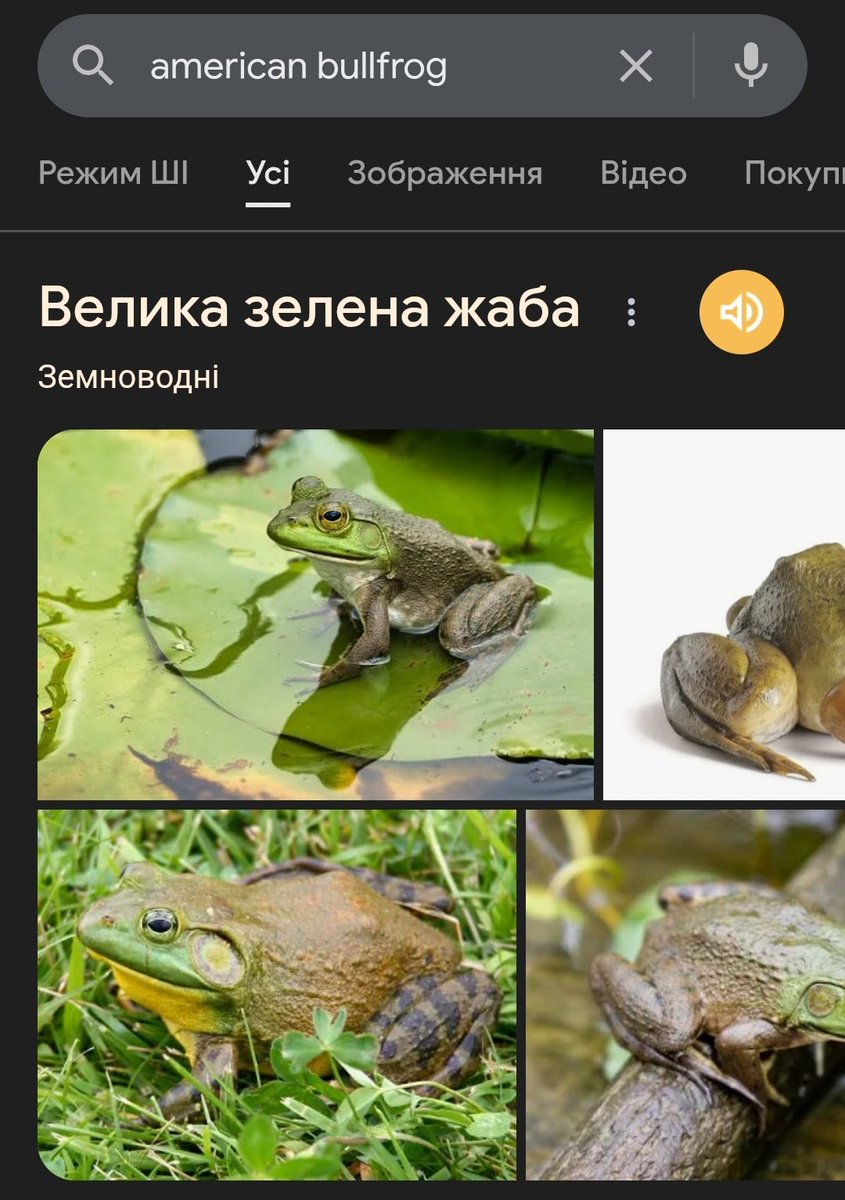 Mustafar Daetotak is waiting for the Sea of Sorrow tweet media