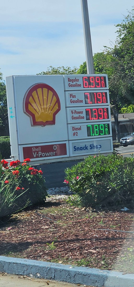 TorMelkson tweet media