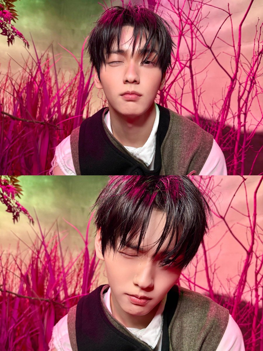 시나브로 tweet media