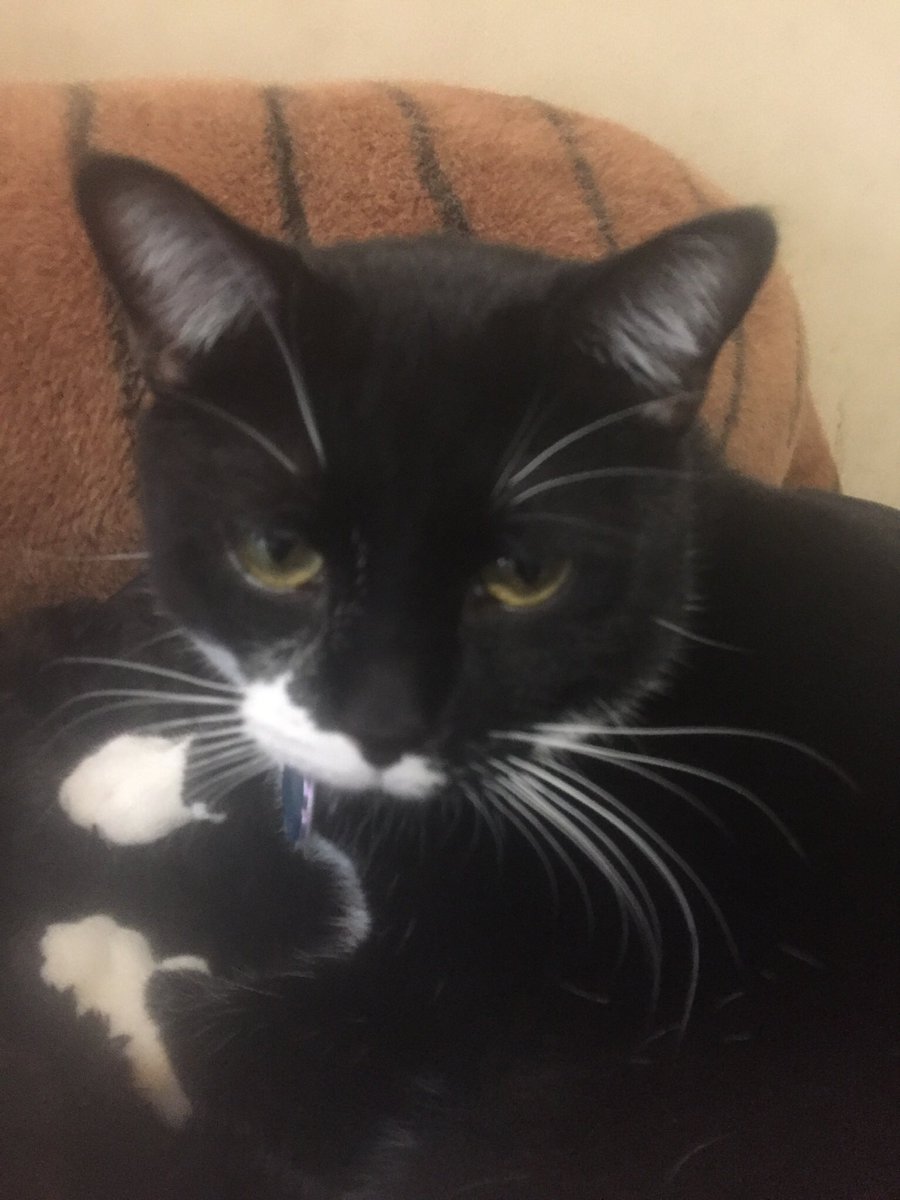 Mocha, Napa & Java tweet media