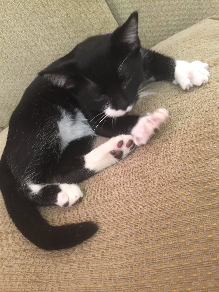 Mocha, Napa & Java tweet media