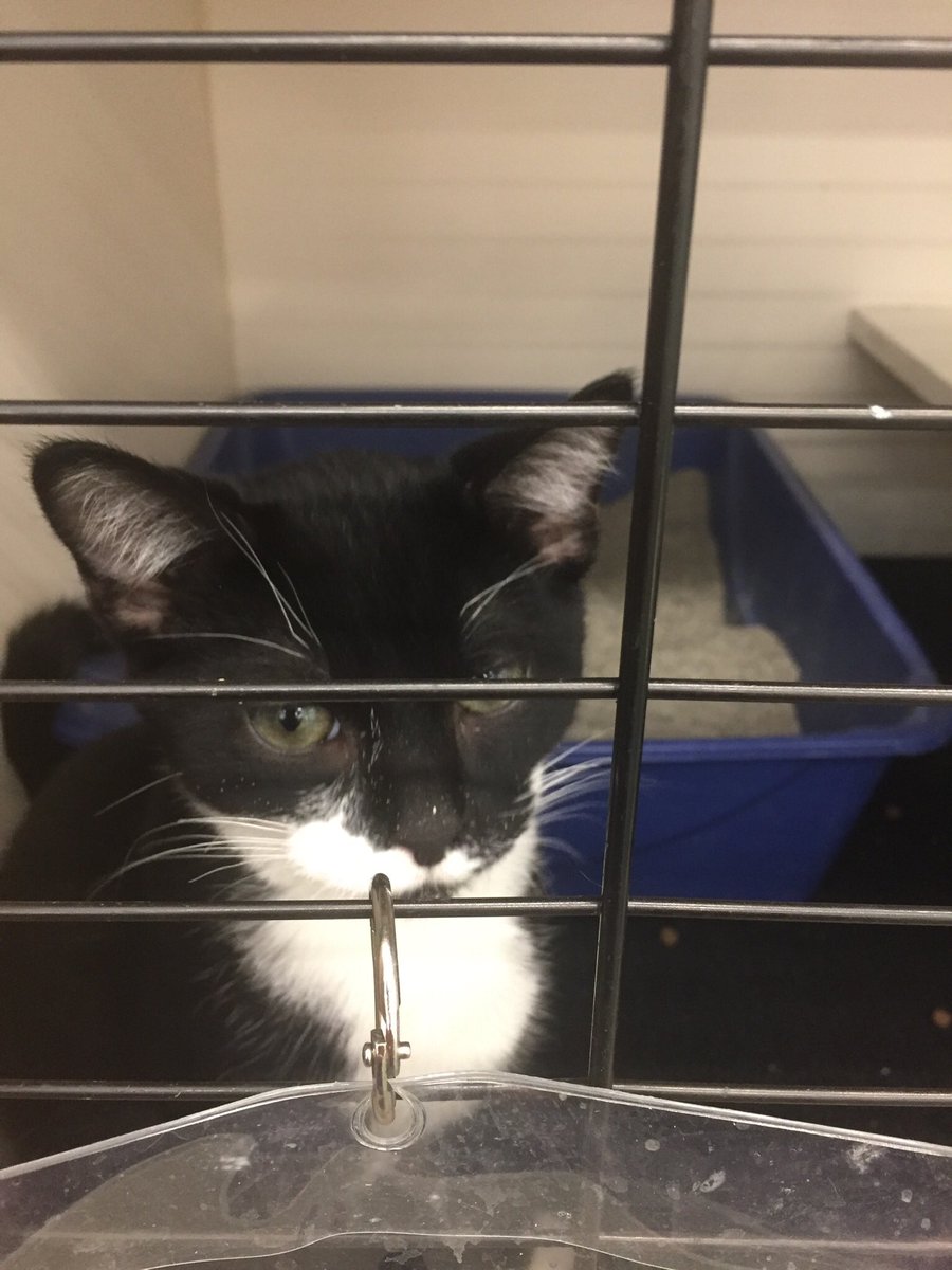 Mocha, Napa & Java tweet media