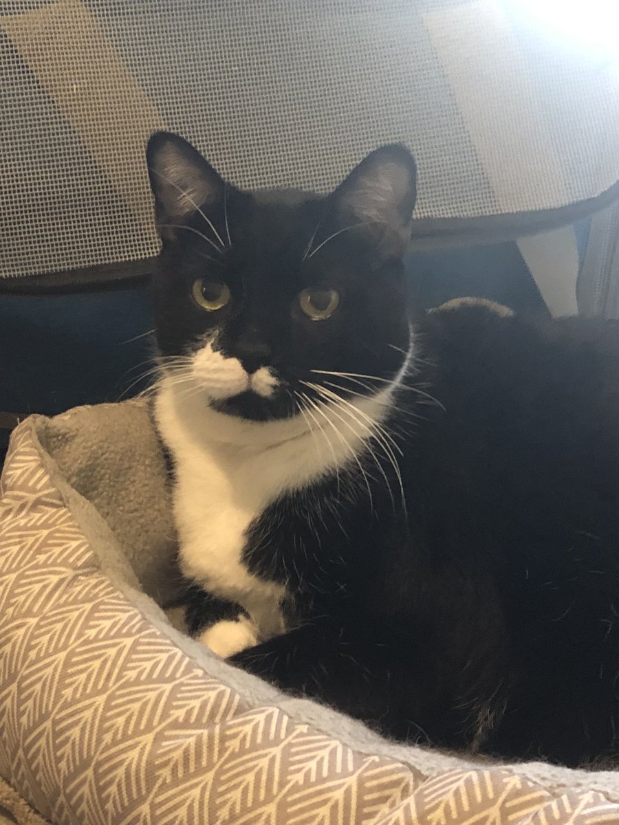 Mocha, Napa & Java tweet media