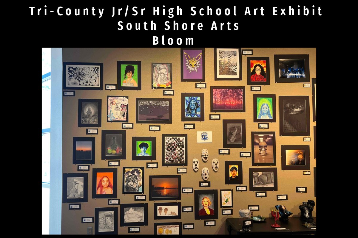 SD206FineArts's tweet photo. Help our Fine Arts team congratulate our students that  have work  in the Tri-County JR/Sr HS Art Exhibit @SouthShoreArts3 on display from  4/11-5/11  @DrJLAnderson @DrNavarre @PrincipalKeene https://t.co/kQT3VeqAes
