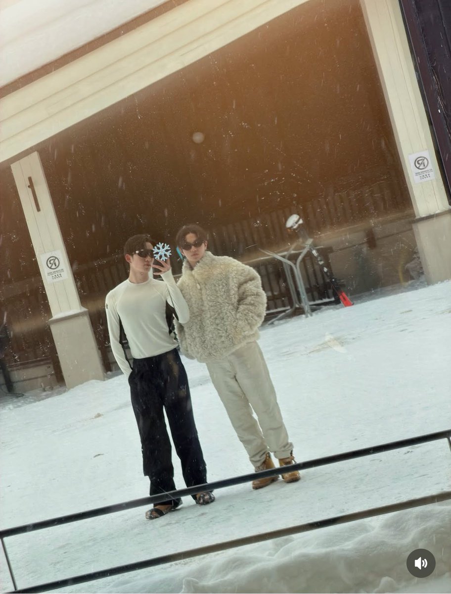 joytotheworld🐶 tweet media