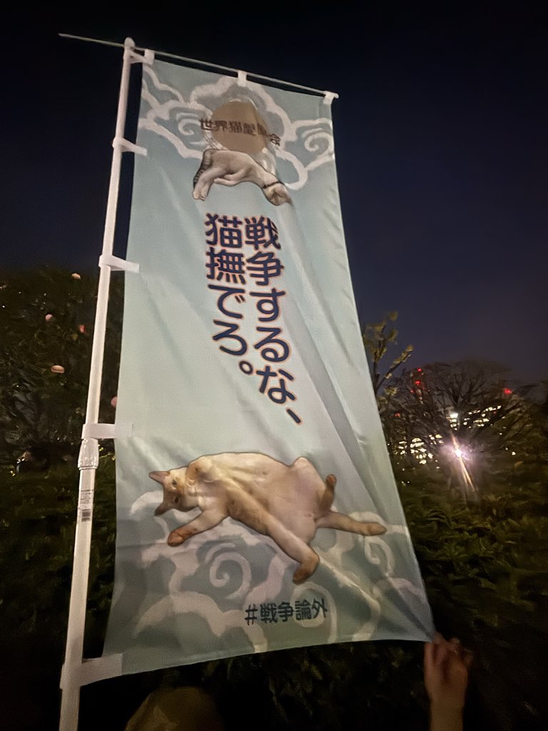 かば吉🍉🌻🌹 tweet media