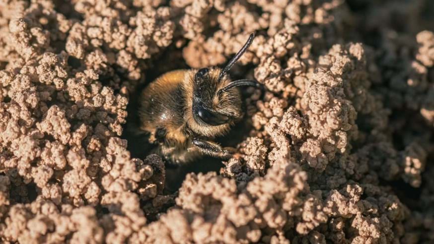 Give A Shit About Nature tweet media