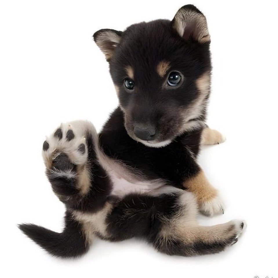 gi vai ver o bts tweet media