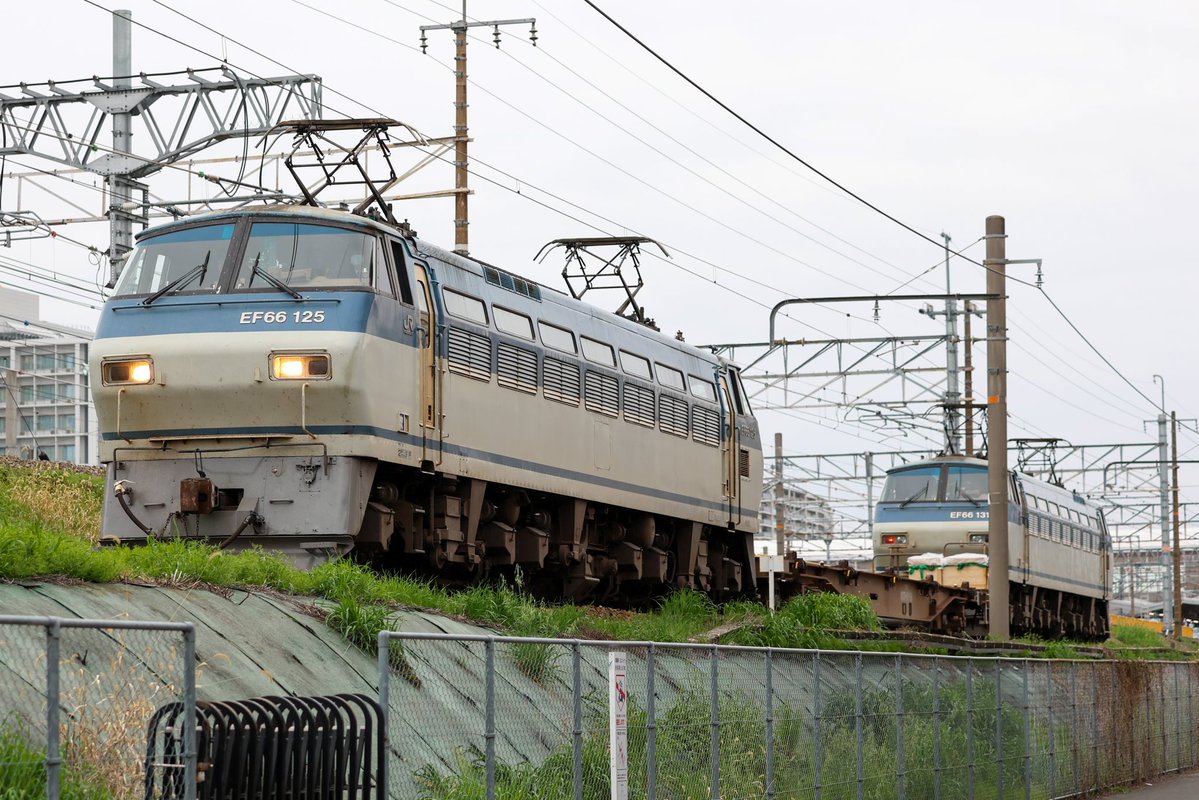 いいんちょぉ tweet media