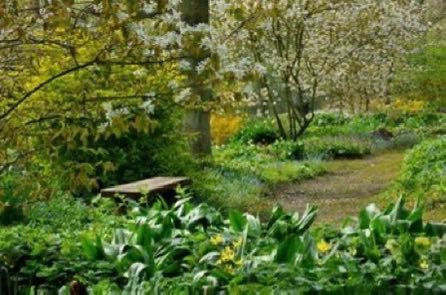 thegardenvsw's tweet image. It really is a chance to see and learn, profit and enjoy. Under the National Gardens Scheme for England, Wales and Northern Ireland, considerably more than 3500 #gardens are available. #gardening      ngs.org.uk