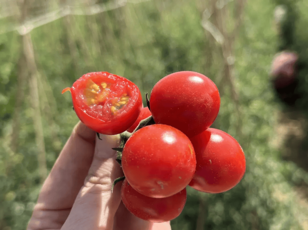 tiza riel tweet media