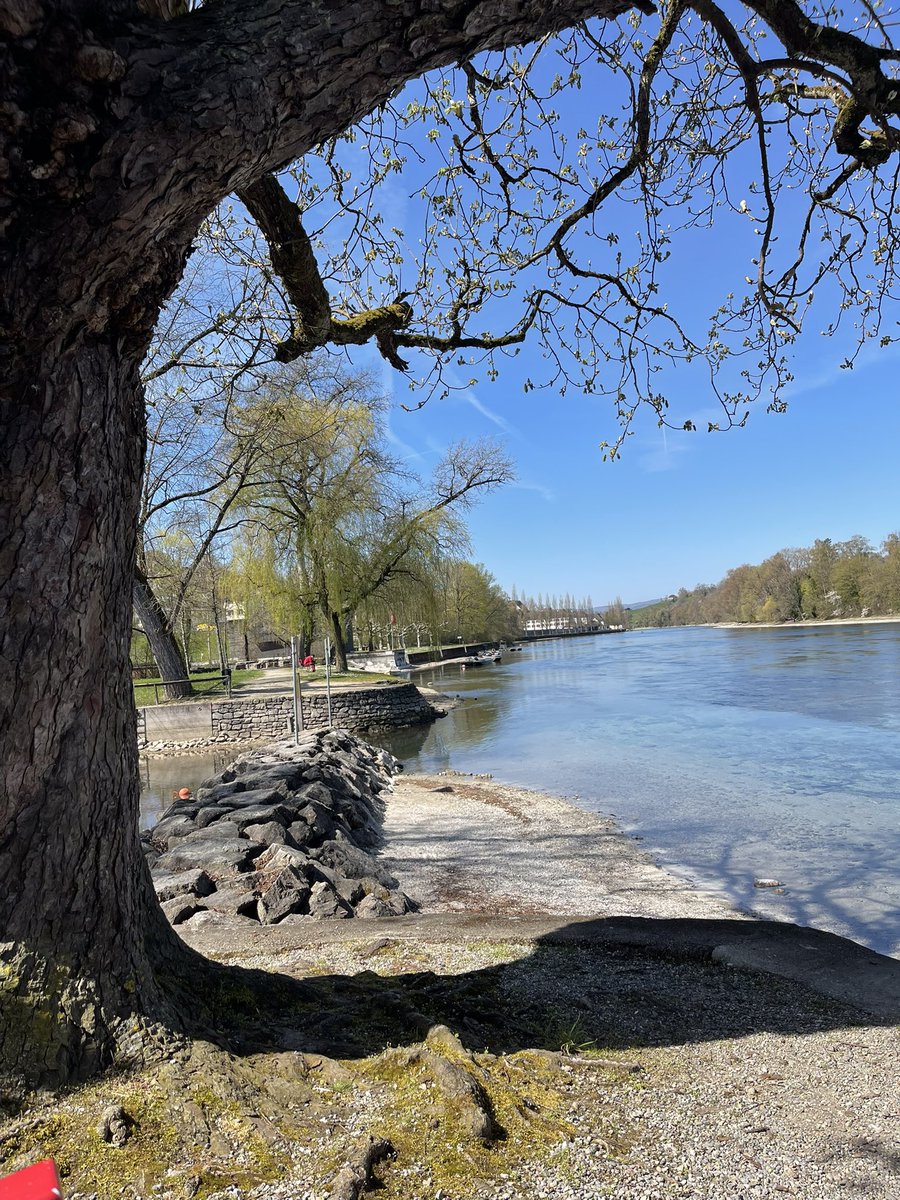 redtestwine's tweet image. เดินกลับมาทางด้านสวิส มานั่งกินผัดวุ้นเส้นที่หอบไปด้วย
นั่งดู เป็ด มีอาหารกินอย่างอร่อย 
ฟ้าสวยจริงๆ 

#เที่ยวสวิสแบบทั่วไม่พาไป 
#Diessenhofen #Switzerland