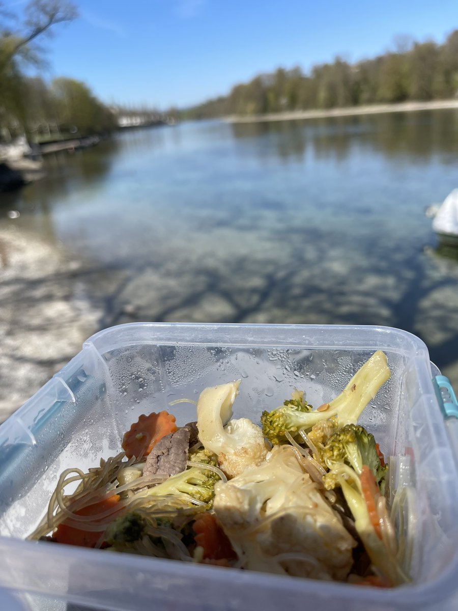 redtestwine's tweet image. เดินกลับมาทางด้านสวิส มานั่งกินผัดวุ้นเส้นที่หอบไปด้วย
นั่งดู เป็ด มีอาหารกินอย่างอร่อย 
ฟ้าสวยจริงๆ 

#เที่ยวสวิสแบบทั่วไม่พาไป 
#Diessenhofen #Switzerland