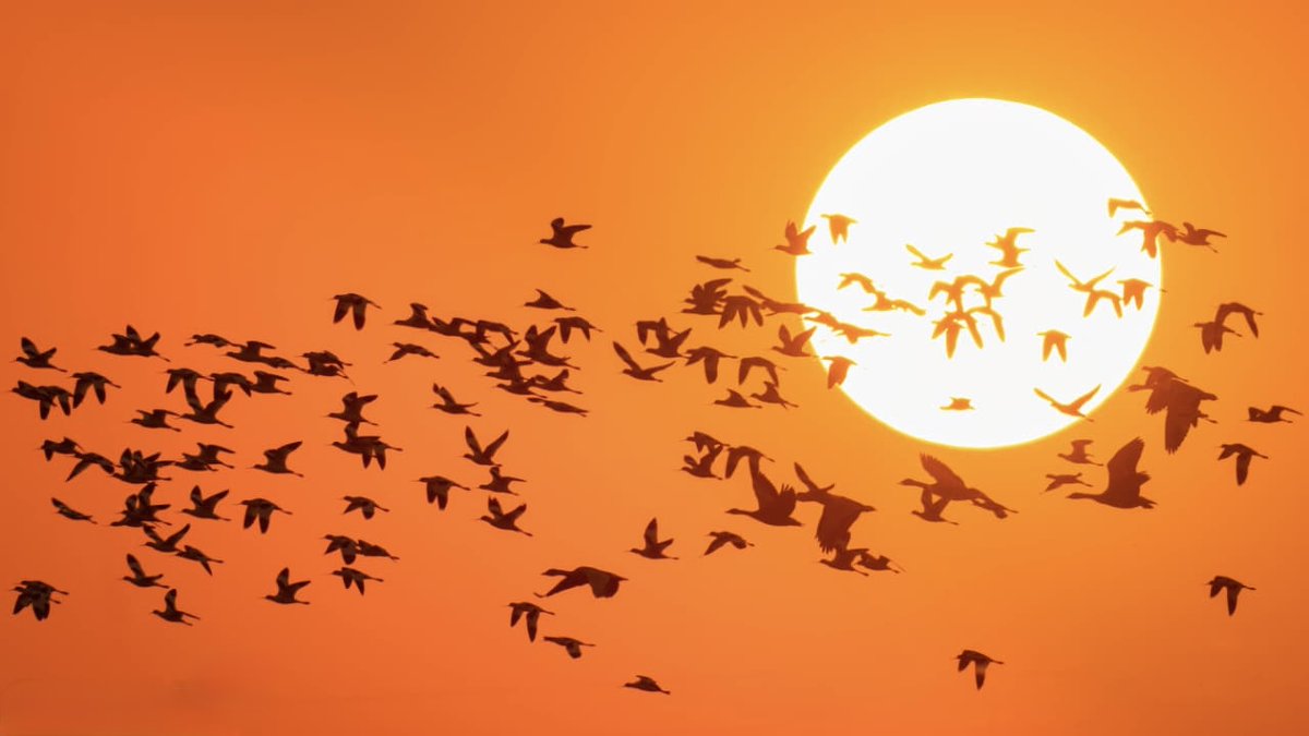 Mohit Mehta tweet media