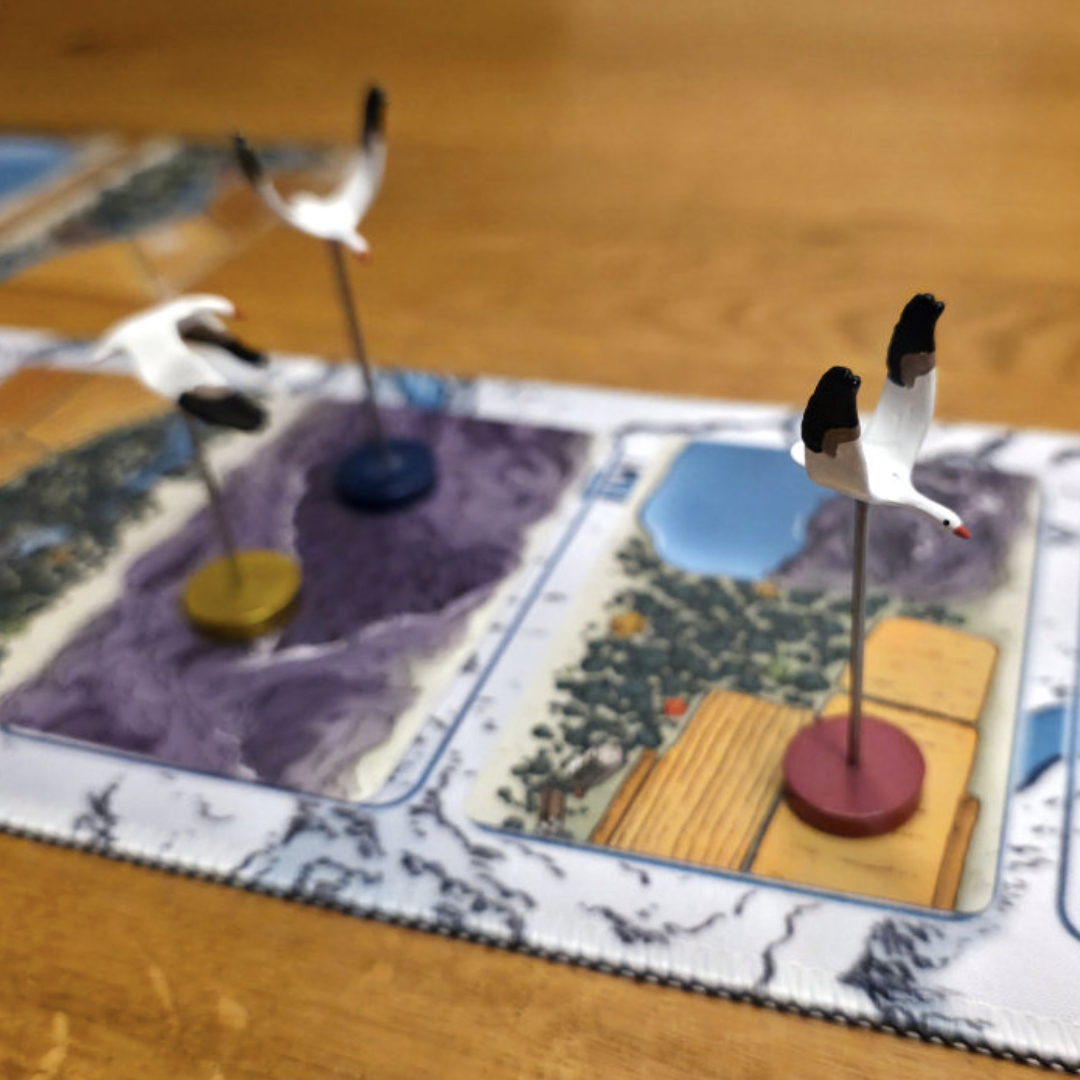 Odd Bird Games tweet media