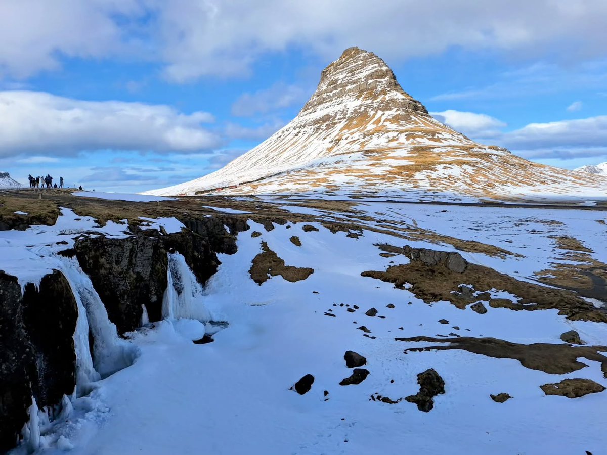 BusTravel Iceland tweet media