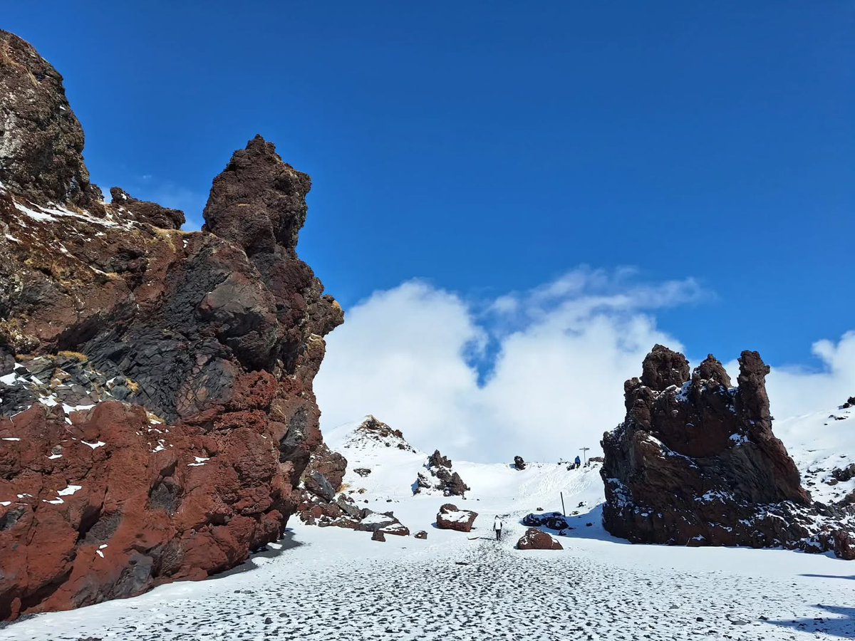 BusTravel Iceland tweet media