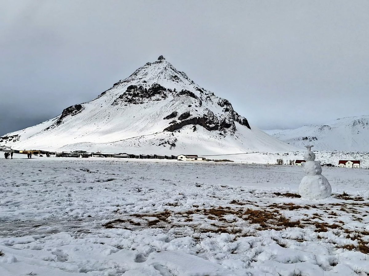 BusTravel Iceland tweet media