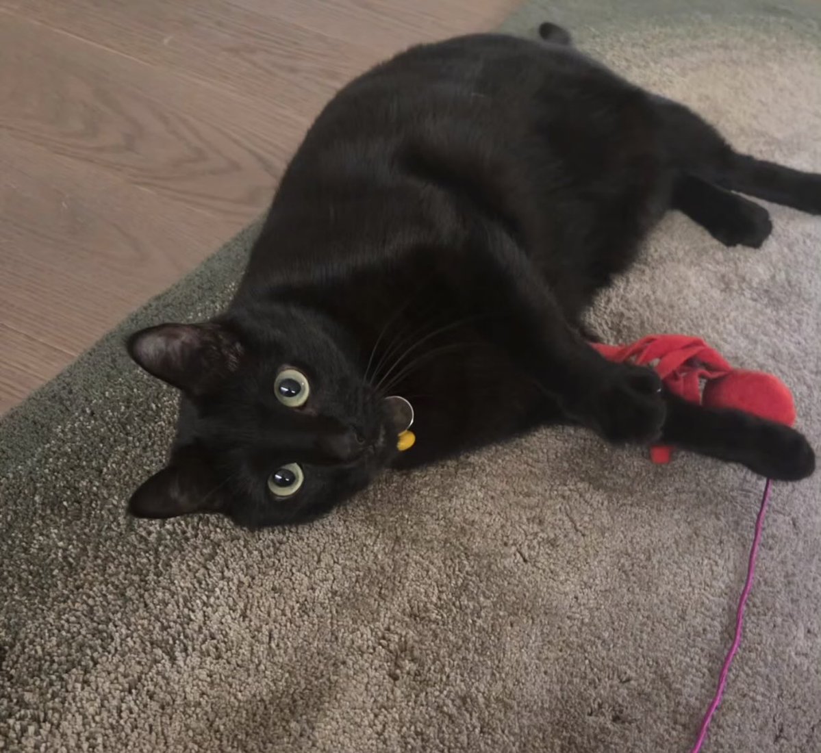 kath is seeing bts tweet media