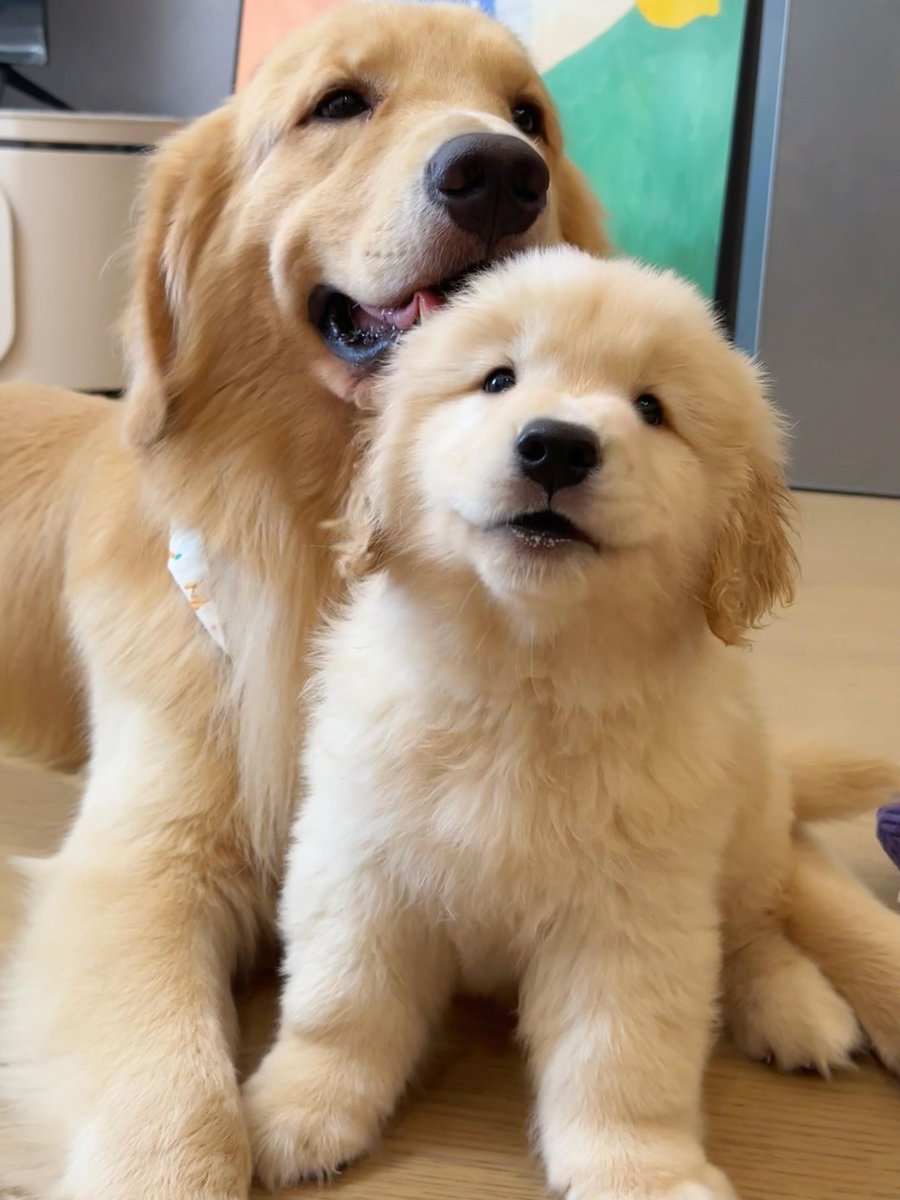 Ricardo Tovar tweet media