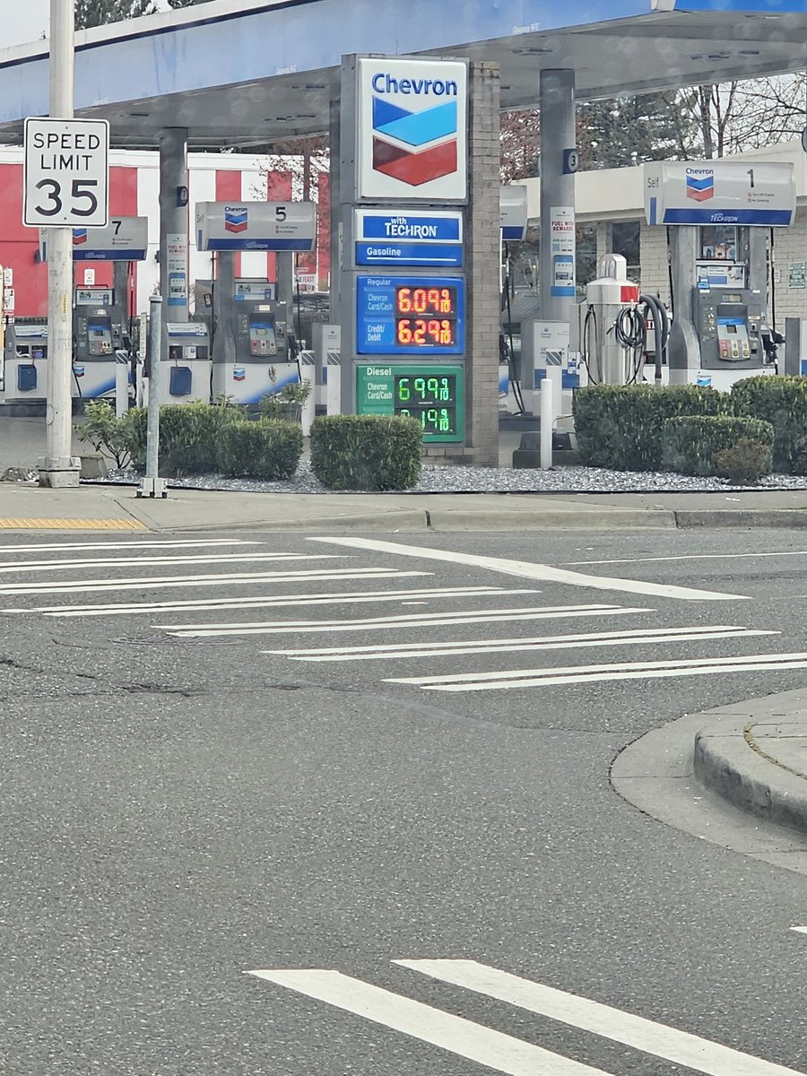 Beth Dutton tweet media