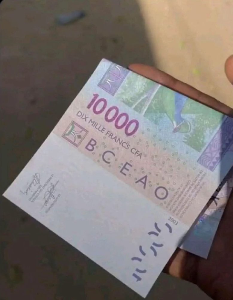 zephyr 🦅 tweet media