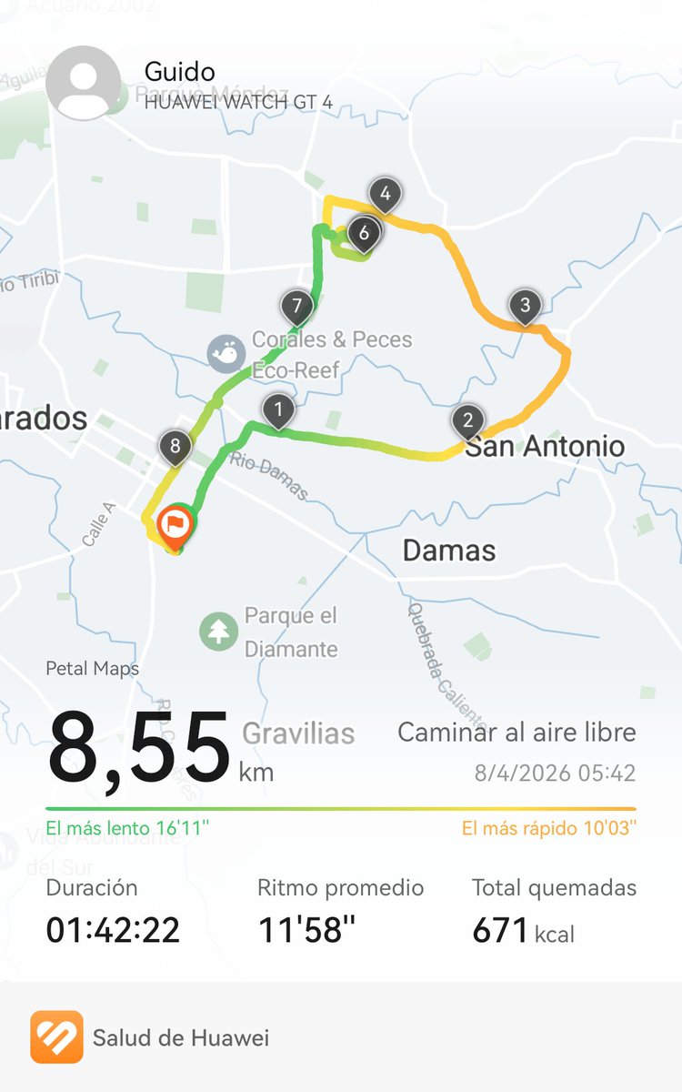 Caminata de hoy, subiendo y bajando gradas.