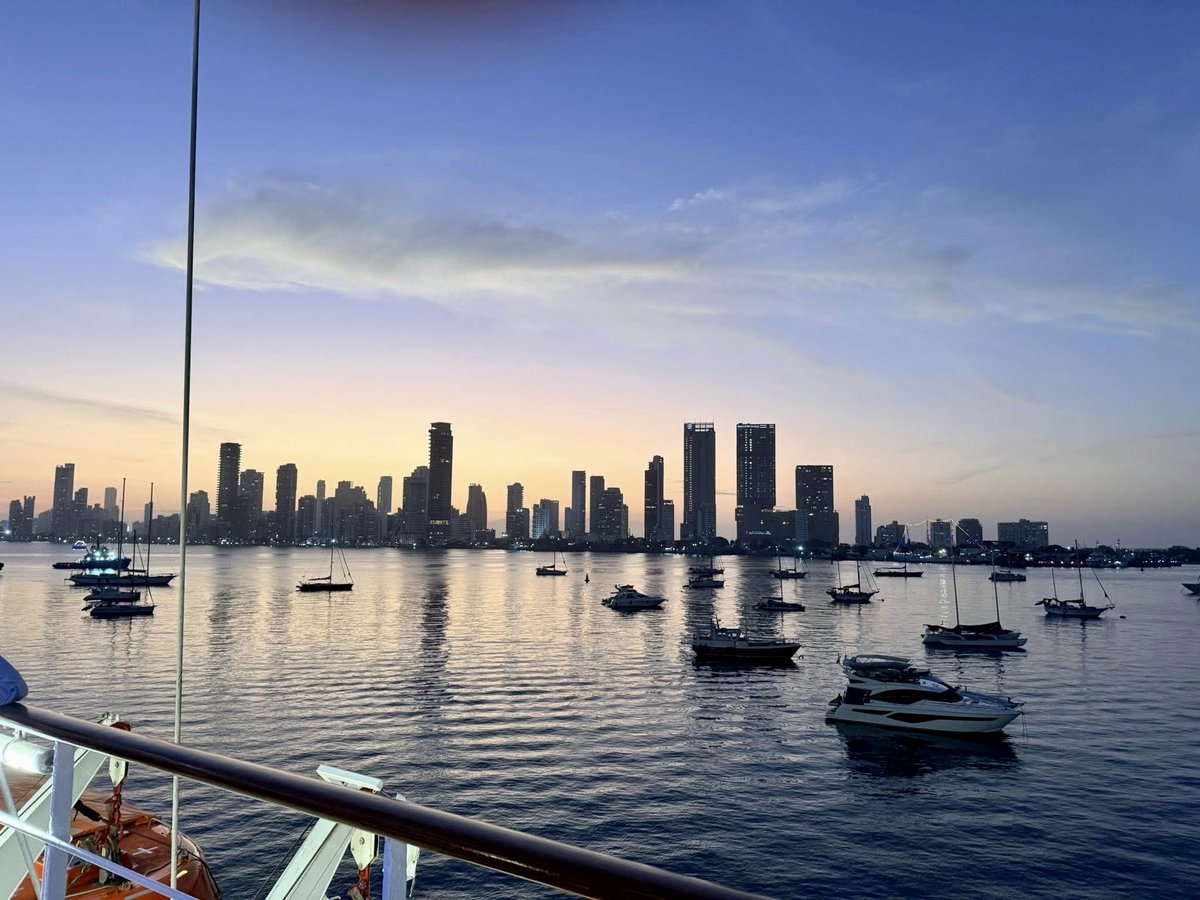 Htownfinfan tweet media