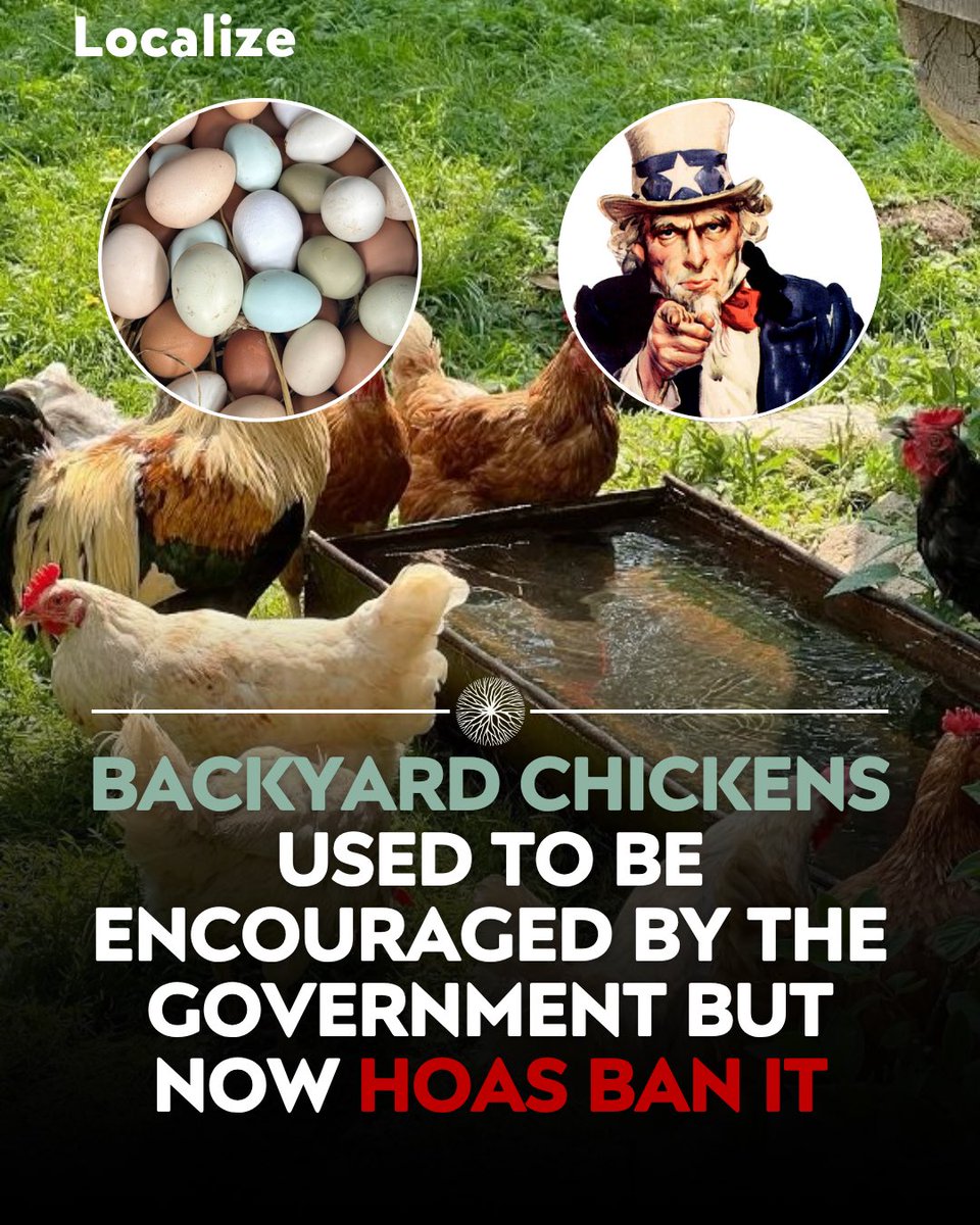 Localize - Farmers Market tweet media