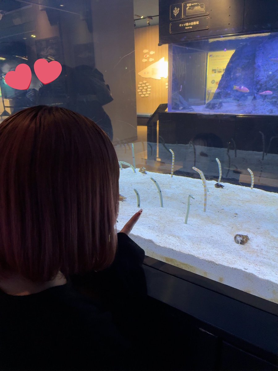 ⭐️ほしの⭐️ tweet media