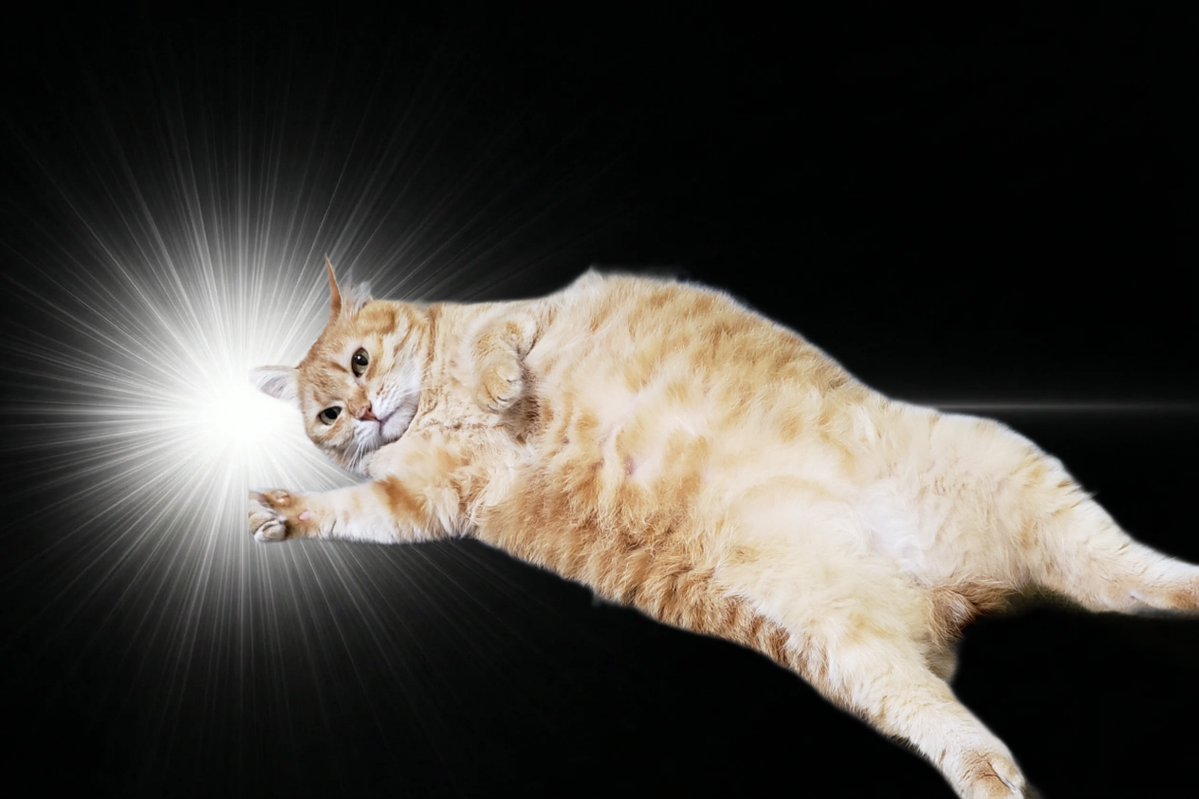 つぐと tweet media