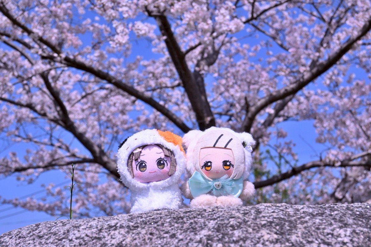 ユウキノ tweet media