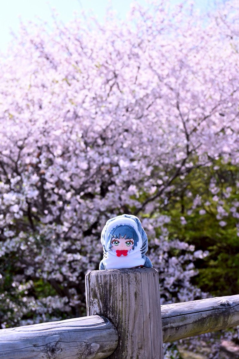 ユウキノ tweet media